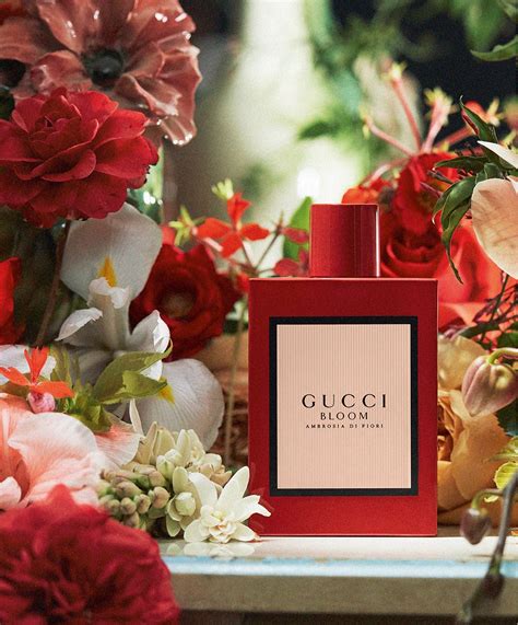 gucci bloom ambrosia di fiori vs gucci bloom